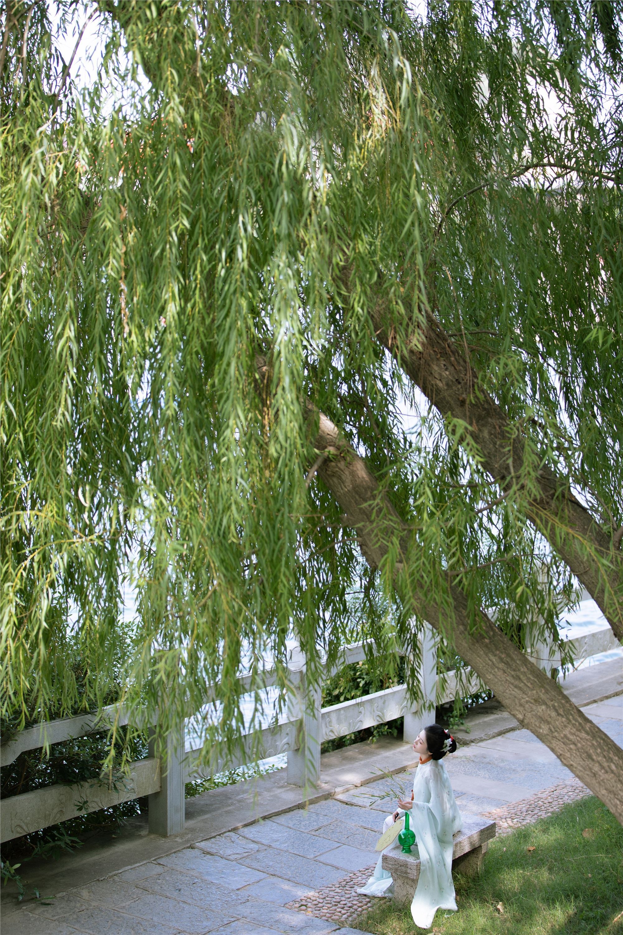 YITUYU艺图语 2025.01.28 观沧海 歪歪